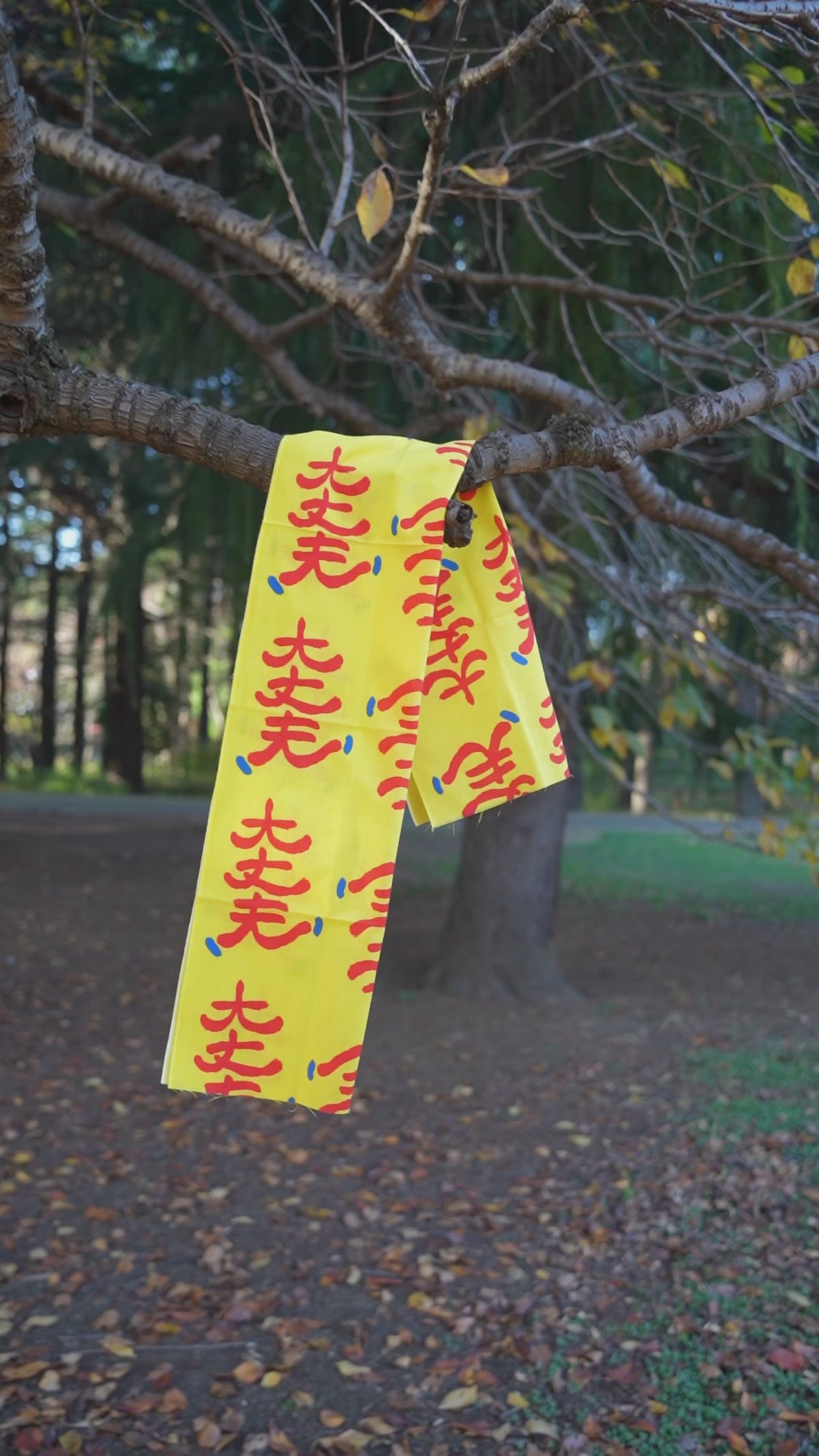 DAIJOBU 手ぬぐい